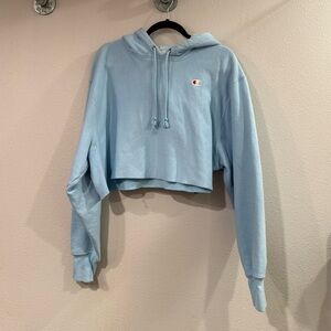 Reverse Weave Champion Cropped Sweatshirt